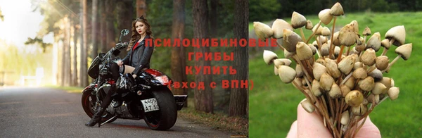 дистиллят марихуана Баксан