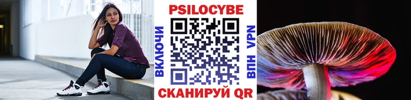 купить наркоту  Иланский  Галлюциногенные грибы Cubensis 